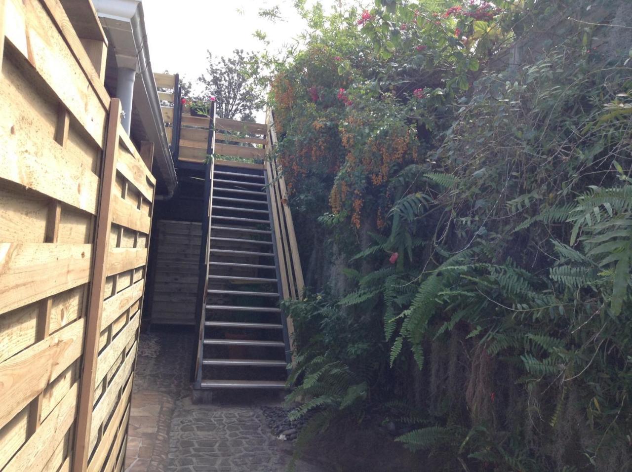 Le Begonia Appartement Ravine Seche Buitenkant foto