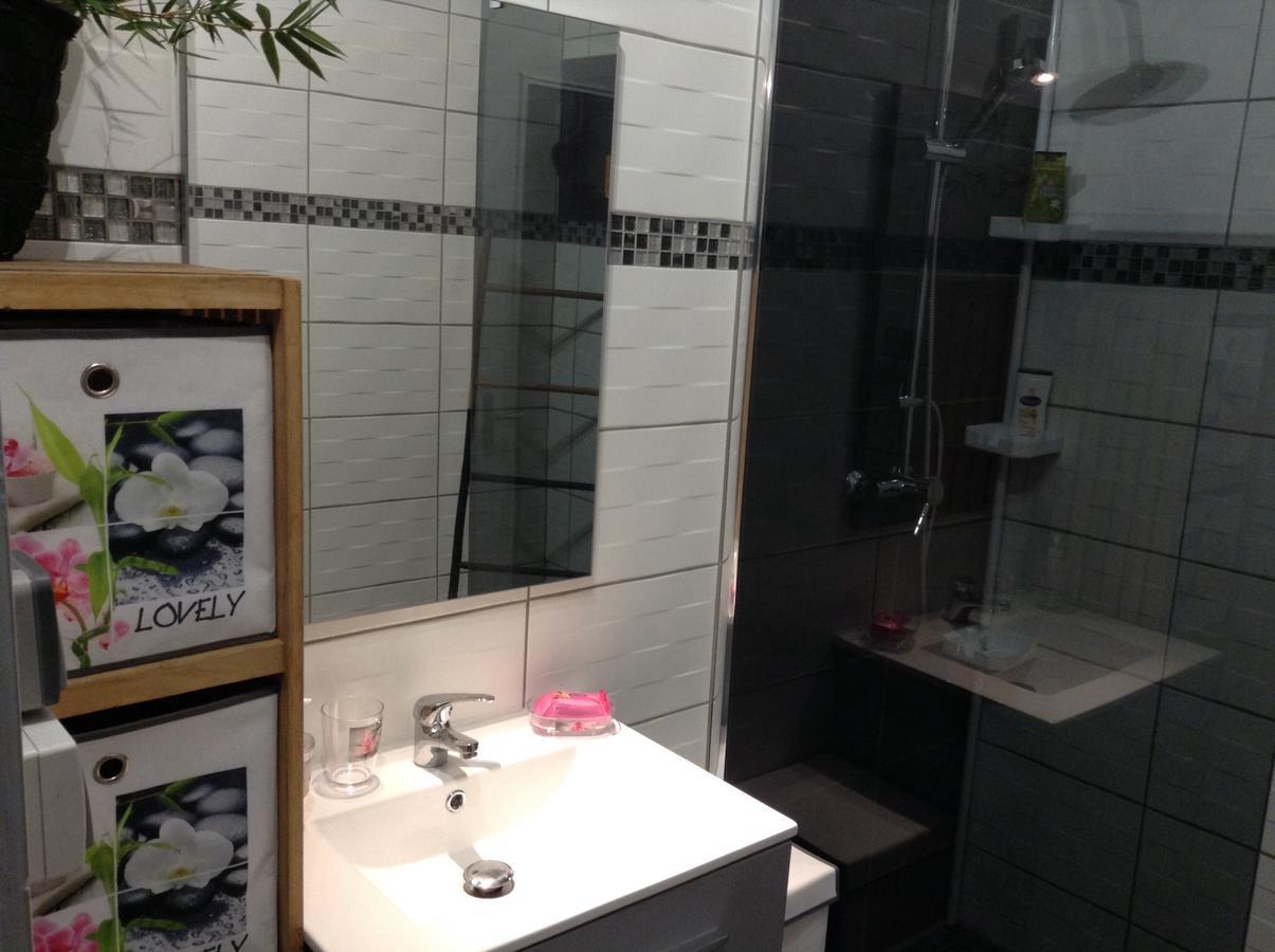 Le Begonia Appartement Ravine Seche Buitenkant foto